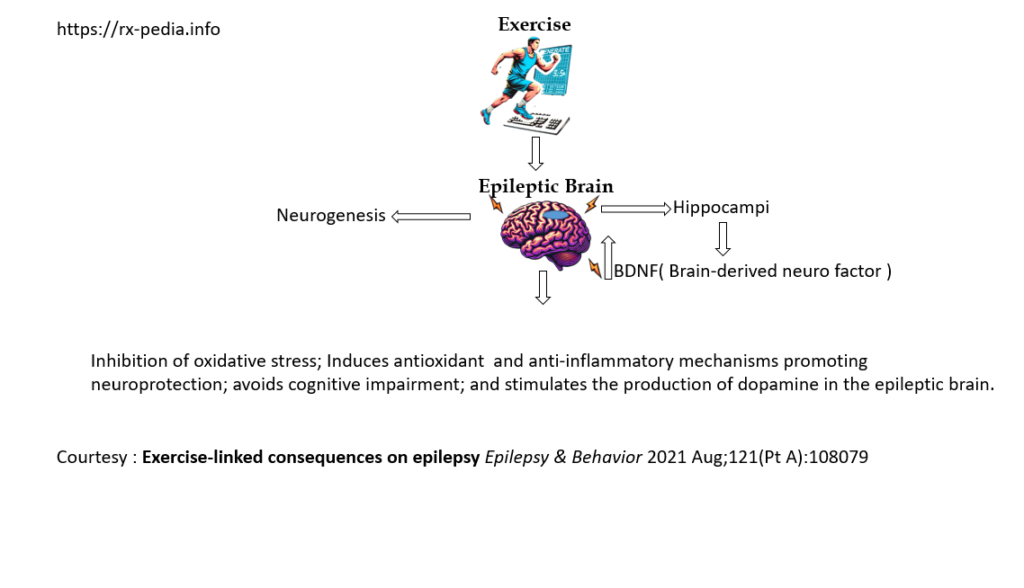  Epilepsy and Exercise